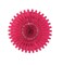Beistle Club Pack of 12 Cerise Tissue Fan Hanging Decorations 25"